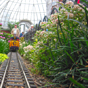 Phipps Conservatory