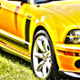 Limited Edition Mustang